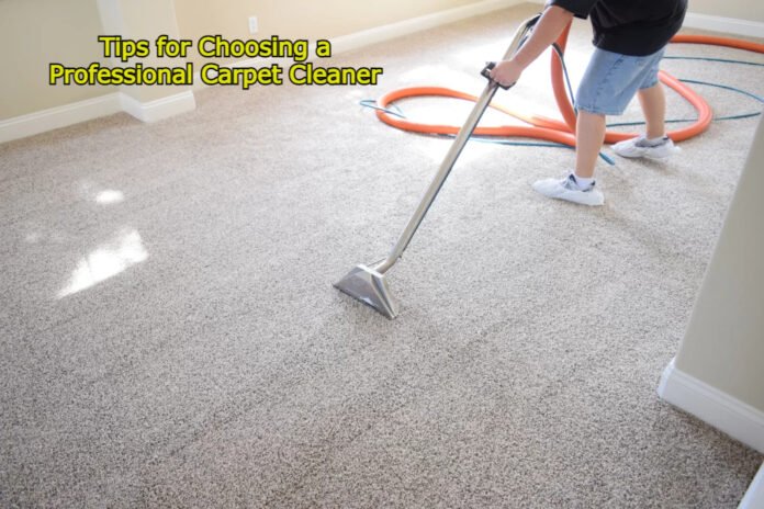 right professional carpet cleaner