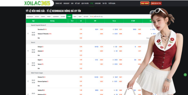 The Emergence of Premium Digital Streaming Hubs