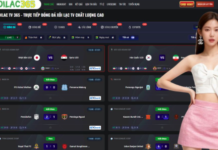 The Ultimate Digital Revolution of Football Entertainment Live Streaming and Strategic Analysis The Emergence of Premium Digital Streaming Hubs